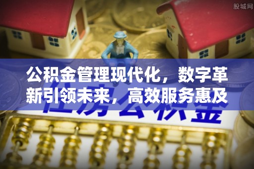 加查公积金管理现代化，数字革新引领未来，高效服务惠及民生