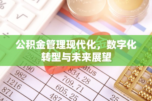 加查公积金管理现代化，数字化转型与未来展望
