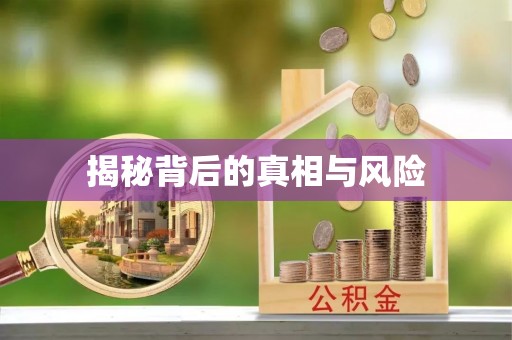 加查揭秘背后的真相与风险