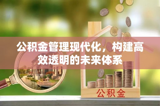 加查公积金管理现代化，构建高效透明的未来体系