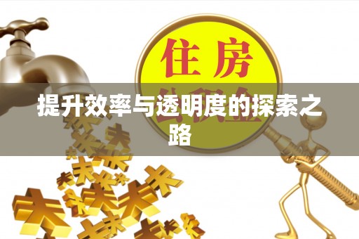 加查提升效率与透明度的探索之路