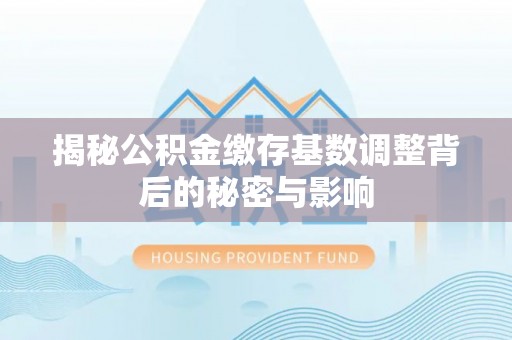 加查揭秘公积金缴存基数调整背后的秘密与影响