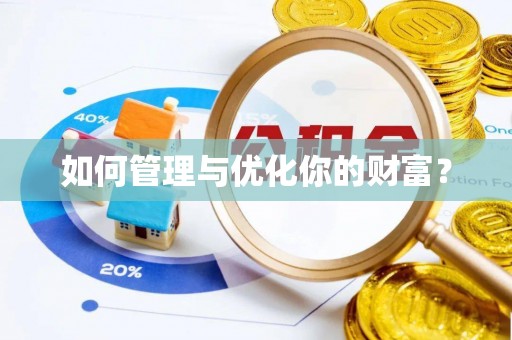 加查如何管理与优化你的财富？
