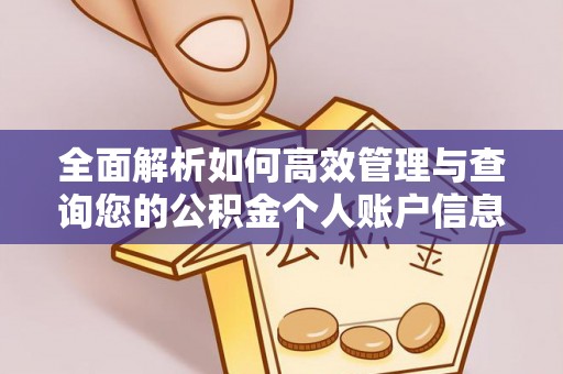 加查全面解析如何高效管理与查询您的公积金个人账户信息