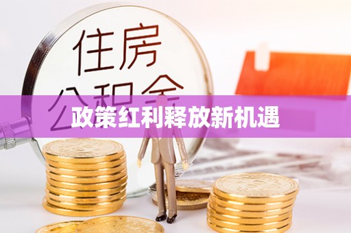 加查政策红利释放新机遇