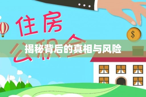 加查揭秘背后的真相与风险