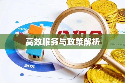 加查高效服务与政策解析