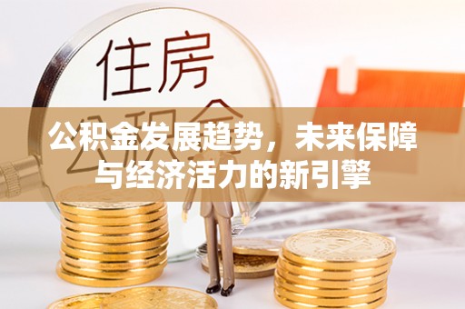 加查公积金发展趋势，未来保障与经济活力的新引擎