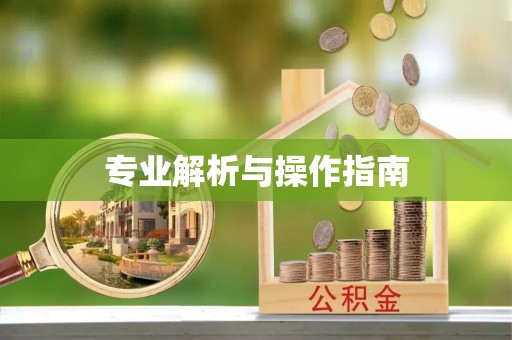 加查专业解析与操作指南