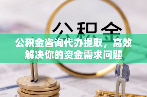 加查公积金咨询代办提取，高效解决你的资金需求问题