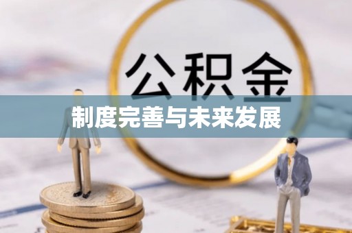 加查制度完善与未来发展