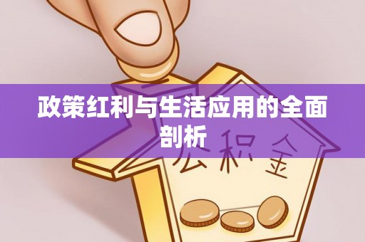 加查政策红利与生活应用的全面剖析
