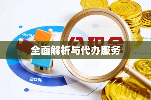加查全面解析与代办服务