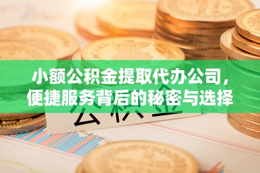 加查小额公积金提取代办公司，便捷服务背后的秘密与选择指南