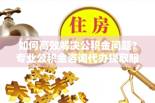 加查如何高效解决公积金问题？专业公积金咨询代办提取服务来帮你