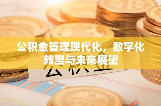 加查公积金管理现代化，数字化转型与未来展望