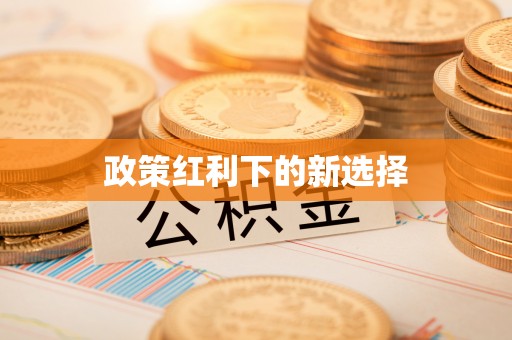 加查政策红利下的新选择