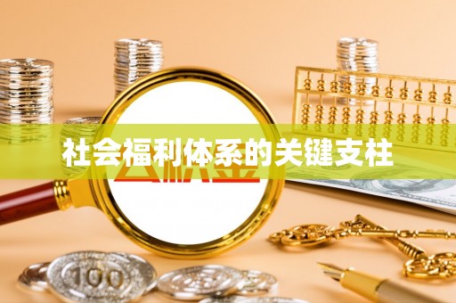 加查社会福利体系的关键支柱