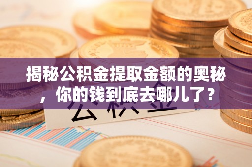 加查揭秘公积金提取金额的奥秘，你的钱到底去哪儿了？