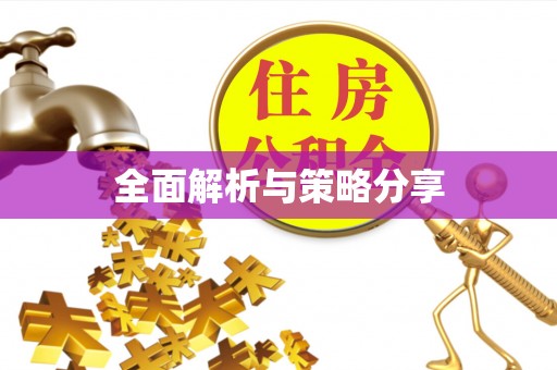 加查全面解析与策略分享