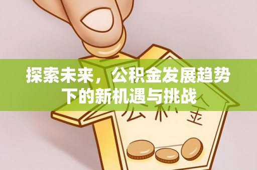 加查探索未来，公积金发展趋势下的新机遇与挑战