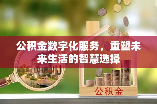 加查公积金数字化服务，重塑未来生活的智慧选择