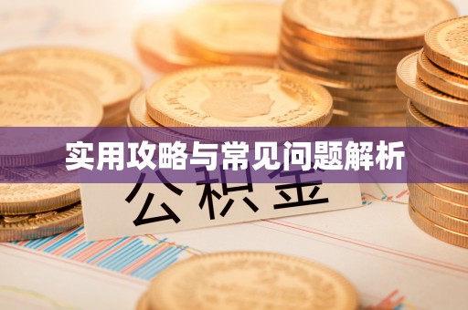 加查实用攻略与常见问题解析