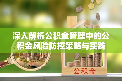 加查深入解析公积金管理中的公积金风险防控策略与实践