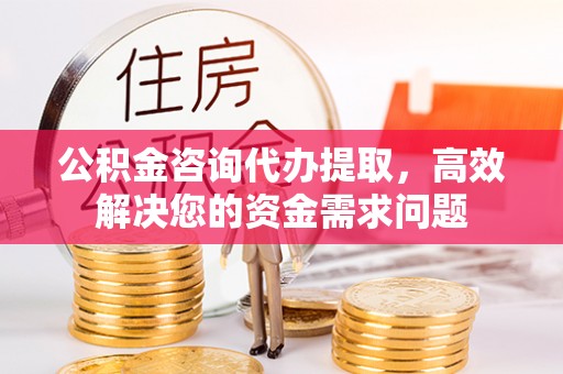 加查公积金咨询代办提取，高效解决您的资金需求问题