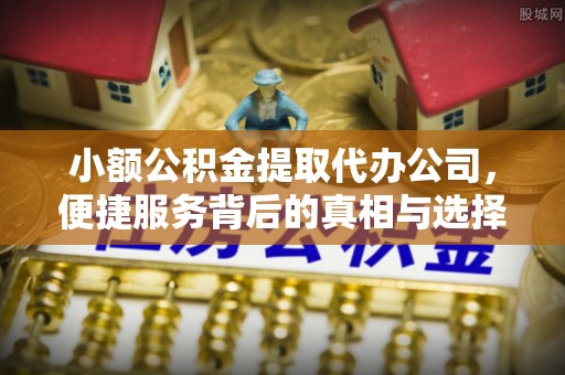 加查小额公积金提取代办公司，便捷服务背后的真相与选择