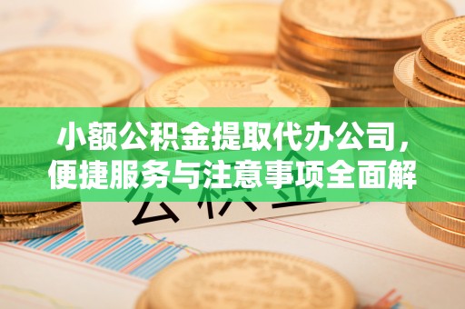 加查小额公积金提取代办公司，便捷服务与注意事项全面解析