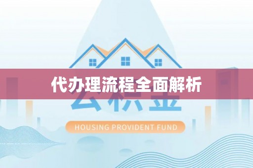 加查代办理流程全面解析