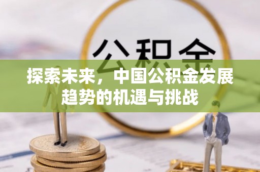 加查探索未来，中国公积金发展趋势的机遇与挑战