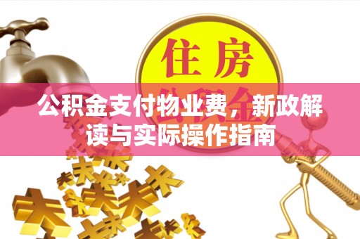 加查公积金支付物业费，新政解读与实际操作指南