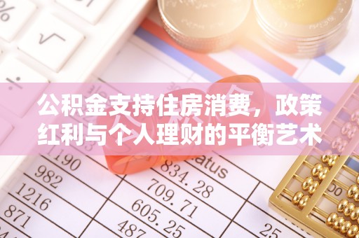 加查公积金支持住房消费，政策红利与个人理财的平衡艺术