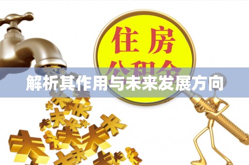 加查解析其作用与未来发展方向