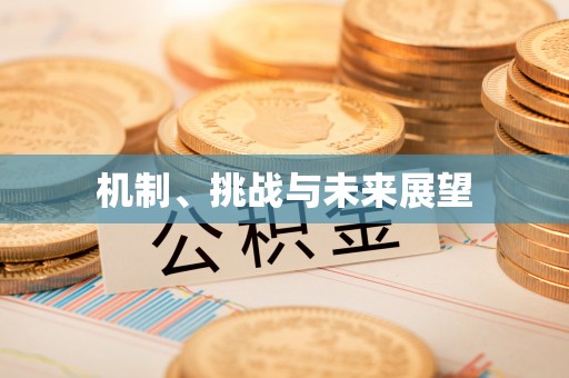 加查机制、挑战与未来展望