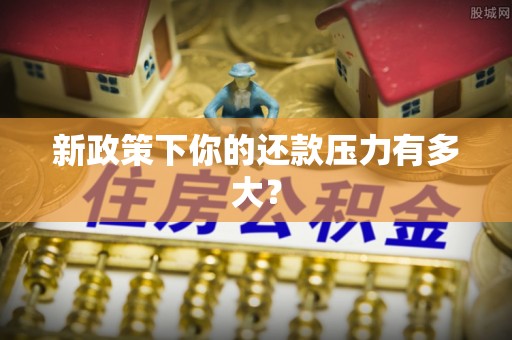 加查新政策下你的还款压力有多大？