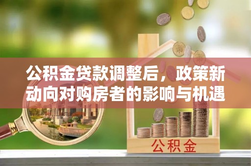 加查公积金贷款调整后，政策新动向对购房者的影响与机遇