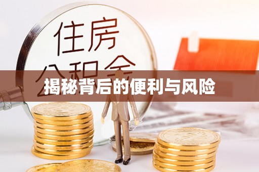 加查揭秘背后的便利与风险